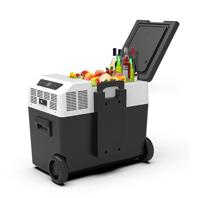 Good  Price Compressor Cooling AC/DC Small Refrigerator Camping  Portable  Freezer Fridges with Battery