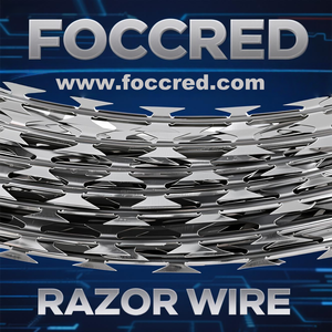 <span class=keywords><strong>ลวดหนาม</strong></span>เหล็กชุบสังกะสีแบบม้วน รุ่น BTO22 450 มม. สำหรับรั้วรักษาความปลอดภัยทางทหารและเรือนจำ - Product Image 2