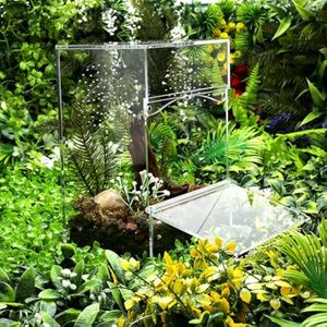 Novo Terrário Retangular de Acrílico para Répteis e Insetos, Gaiola para Aranha Saltadora, Camaleão e Lagarto, 1.0kg, Presente de Natal - Product Image 4