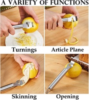 Éplucheur de cuisine en acier inoxydable, Orange, citron, Zester, râpe à fromage Premium avec couteau à canal