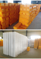 Cage de transport en plastique haute résistance pour volailles, poulets, canards, pigeons, lapins, oies – Idéale pour l'élevage