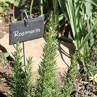 Pflanzenetikett Gartenhersteller Schiefer Schwarz Naturstein-Schild mit Edelstahlstab 10 Stück