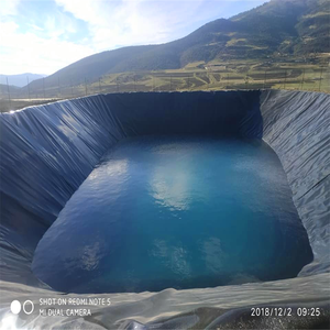 Geomembrane Factory Price Hdpe Pond <strong>Liner</strong> 0.5 Mm 0.75 Mm 1mm Outdoor Fish Pond Dam <strong>Liner</strong> Geomenbrana Para Mineria