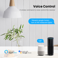 Module relais intelligent Tuya Mini Switch sans fil neutre, contrôle 1, 2, 3 ou 4 voies, compatible avec Alexa, Google Home, Zigbee F977