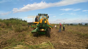 Máquina cosechadora <span class=keywords><strong>de</strong></span> <span class=keywords><strong>caña</strong></span> <span class=keywords><strong>de</strong></span> azúcar <span class=keywords><strong>de</strong></span> alta eficiencia, con orugas <span class=keywords><strong>de</strong></span> goma, todo terreno, <span class=keywords><strong>de</strong></span> baja rotación y baja dañina para el suelo, directa <span class=keywords><strong>de</strong></span> fábrica - Product Image 4