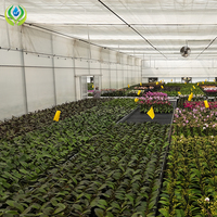 MYXL Serre multi-travée Serre agricole Serre tunnel à vendre