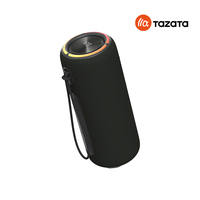 Haut-parleur Bluetooth portable stéréo 30W TWS avec double batterie 2500mAh étanche IPX7