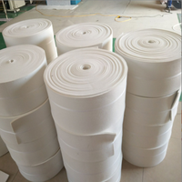 Vente en gros de feutre de polyester blanc épaisseur de tampon de tension machine à refendre le feutre de laine