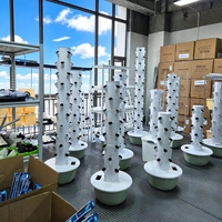 Système de culture hydroponique aéroponique vertical à 11 niveaux pour l'intérieur avec irrigation automatique pour la culture de légumes