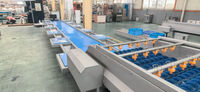 Commerciële Sorteermachine Avocado Tomaat Appel Mango Meloen Aardappel Grootte Sorteermachine