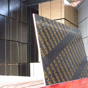 Bon marché, panneau enduit <span class=keywords><strong>de</strong></span> pin et placage <span class=keywords><strong>de</strong></span> bouleau écologique, panneau collé avec décoration double face, finition imperméable - Product Image 2