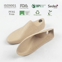 Baki Pulp Bagasse Tebu Tahan Air Grosir, Kemasan Pelindung Biodegradable Food Grade Komposabel yang Dapat Disesuaikan