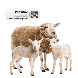 2024 nouvelle Capsule de rumen de moutons d'élevage intelligente surveillance de la santé Mini 40G Ai Bio Capsule faible consommation d'énergie batterie 1000Mah - Product Image 1