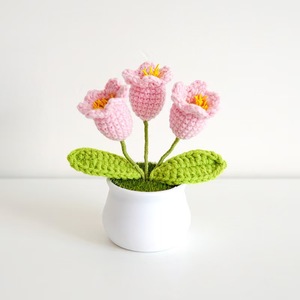 <span class=keywords><strong>Kit</strong></span> de Flores de Ganchillo de Cachemira Hechas a Mano al por Mayor de Fábrica, Juguete de Ganchillo Amigurumi <span class=keywords><strong>para</strong></span> Principiantes, Regalo de Graduación - Product Image 1