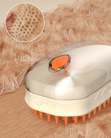 Nouvelle brosse à vapeur rechargeable 4 en 1 pour le massage des animaux de compagnie, le nettoyage, la pulvérisation d'eau, l'épilation, brosse à vapeur pour chat avec lumière