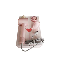 Sèche-cheveux portable mini professionnel à moteur électrique DC haute vitesse 1500W, ionique négatif, pour salon et voyage en extérieur