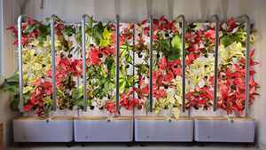 2025 première version système de culture verticale intelligent maison hydroponique jardinage Solution nutritive recyclage plantation verticale - Product Image 6