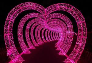 โคมไฟอุโมงค์รูปหัวใจ LED พีวีซีเชิงพาณิชย์ ปรับแต่งสีได้ มาตรฐาน IP65 สำหรับตกแต่งวันคริสต์มาส วันวาเลนไทน์ และวันหยุดต่างๆ - Product Image 2