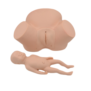Modèle de formation de sage-femme haute fidélité avec mannequin de simulation de précision anatomique pour la formation en obstétrique dans les écoles de médecine - Product Image 6