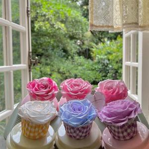 Petite taille <span class=keywords><strong>pas</strong></span> <span class=keywords><strong>cher</strong></span> prix style élégant 4-5cm tête de <span class=keywords><strong>rose</strong></span> roses conservées avec diverses couleurs longue durée de vie pour toujours fleur <span class=keywords><strong>rose</strong></span> verte - Product Image 5