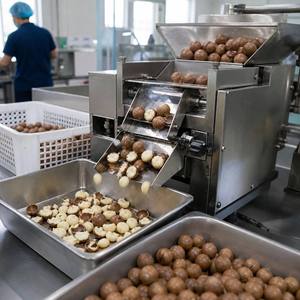 Nueces de Macadamia Tostadas al por Mayor, Sin Cáscara, Grado A, 1 kg, Snack de Nueces de Macadamia, Precio de Fábrica, Paquete a Granel - Product Image 6