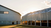 Structure métallique préfabriquée moderne grange économique hangar à vaches bâtiment de ferme équestre pour moutons, chèvres et bovins pour atelier