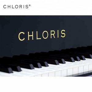 सबसे अच्छा कॉन्सर्ट ग्रांड पियानो कीमत लागत सजावट परिभाषा के लिए 275 बिक्री के लिए 9 पैर - Product Image 5