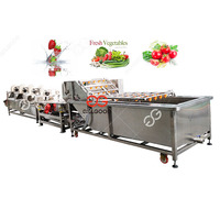 Industriële automatische roestvrijstalen groente- en fruitwasmachine met motor en hetelucht droging