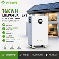 16kWh 51.2V 314Ah IP65 CAN Troli Baterai LiFePO4 yang Dapat Dipindahkan, Plug&Play, Penyimpanan Energi Rumah untuk Distributor