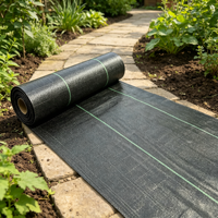 Rouleau de toile de paillage durable et robuste pour la protection des parterres de jardin