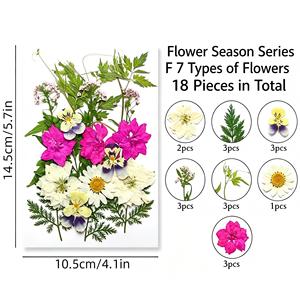 ชุดวัสดุกลีบดอกไม้แห้งสีขาวสำหรับงาน DIY งานฝีมือ ทำเครื่องประดับ ตกแต่งบ้าน และห่อของขวัญ - Product Image 6