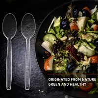 Cuillères en Plastique Transparent Robustes Écologiques en Gros Qualité Alimentaire Jetables Réutilisables pour Mariages Camping et Autres Occasions