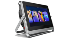 Équipement de thérapie laser pour chiens chevaux Machine vétérinaire de soulagement de la douleur 2025