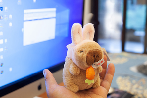 Extraños delfines de agua fabricante de juguetes de peluche personalizados animales de peluche juguetes para bebés regalos de cumpleaños almohadas de cama juguetes para <span class=keywords><strong>dormir</strong></span> - Product Image 5