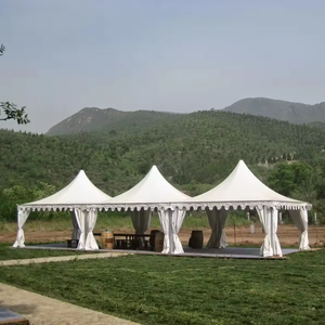 Tente Pagode de Réception Extérieure Personnalisée WT, 3x3, 5x5, 6x6, en Aluminium, avec Couverture PVC Imperméable – Grande Vente pour Événements à Louer - Product Image 6
