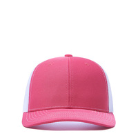 Casquettes de baseball personnalisées OEM avec logo brodé 3D, casquettes vierges à face en mousse, commande en gros, casquettes à dos en maille
