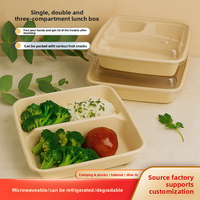 Boîtes EFENGDA à usage unique, compostables, biodégradables, en pulpe de canne à sucre, 1000 ml, à un compartiment, à deux compartiments, à trois compartiments