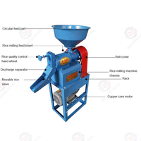 Machine de décorticage de riz automatique 2 tonnes/jour avec fonctions de tri, de nettoyage et de polissage, moteur de moulin à riz combiné du fabricant