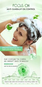<span class=keywords><strong>Shampoo</strong></span> Unisex Liquido 495ml a Marchio Privato, Formula Organica Vegetale, Controllo Oleosità, Riparazione Capelli, Lisciante, Rimozione Forfora, Trattamento <span class=keywords><strong>Cuoio</strong></span> <span class=keywords><strong>Capelluto</strong></span> - Product Image 5