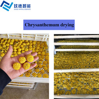 Lage temperatuur droogmachine voor garnalen, fruitdroogmachine, groentedroger, elektrische visdroger, motorpomp, energiebesparende PLC