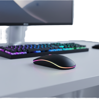 Mouse Nirkabel 2.4GHz Custom, Dapat Diisi Ulang, Tipis, Ergonomis, Optik, Lampu RGB, Mouse Bluetooth untuk Laptop dan Desktop