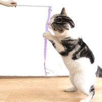 Mainan kucing Aksesori hewan peliharaan, bermain interaktif untuk penggoda kucing gaya baru