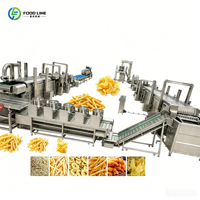 Fabriekslevering Volledig Automatische Complete Productielijn voor Aardappelchips en Diepvriesfrieten