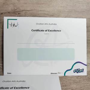 ใบประกาศนียบัตรรางวัล A4 แบบกำหนดเองพร้อมพิมพ์โลโก้ของคุณสำหรับใบประกาศนียบัตรรางวัลและประกาศนียบัตรระดับพรีเมียม - Product Image 2