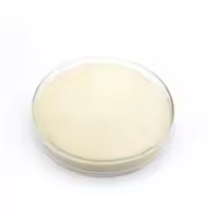 Gélatine soluble à froid et gels nutritionnels transformés à froid huaxuan