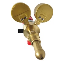Robinet de pression en laiton réglable à ressort, à simple étage, pour bouteille de gaz GPL/Propane/Acétylène, avec entrée arrière, haute pression (Kpa/PSI)