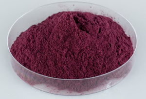 Poudre de fruits lyophilisés soluble dans l'eau, poudre de fruits d'açaï biologique, poudre de jus d'açaï, poudre d'açaï - Product Image 2