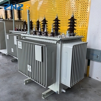 Transformadores de Distribución Trifásicos ZNZR de 30 kVA, 60 kVA, 100 kVA, 300 kVA, 630 kVA, 1000 kVA, 2 MVA, 11 kV a 110 V, Sumergidos en Aceite