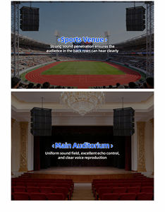 Système de sonorisation professionnel extérieur haute puissance CHORDIO TG-212P avec garantie de 2 ans pour le renforcement sonore des scènes de performance - Product Image 6