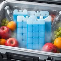 Blocs de glace en polyéthylène haute densité réutilisables en gros, briques de glace bleues, capacité 250-5000, auto-amorçantes, pour le transport Fengsuluan